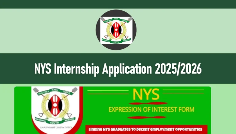 NYS Internship 2025 Application Form Portal | National Youth Service