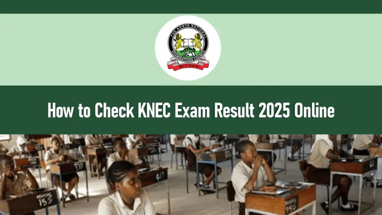 How to Check KNEC Exam Result 2025 Online