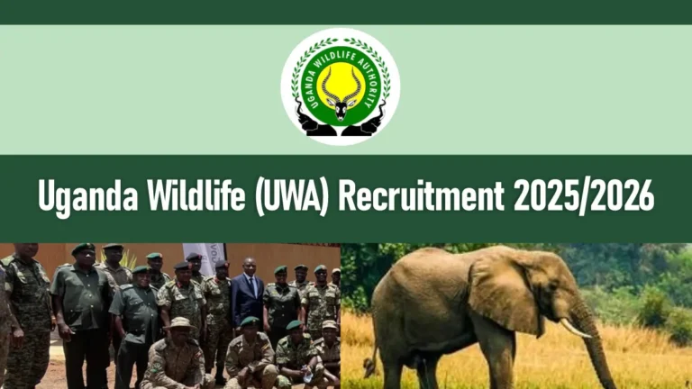 UWA Recruitment 2025/2026 Application Form PDF Portal