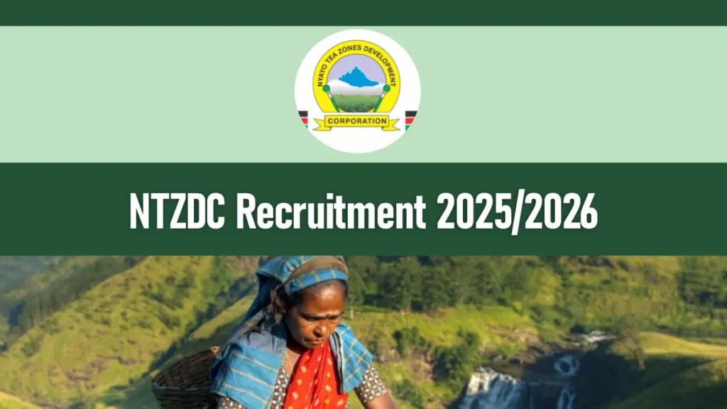 NTZDC Recruitment 2025/2026 Careers Application Portal